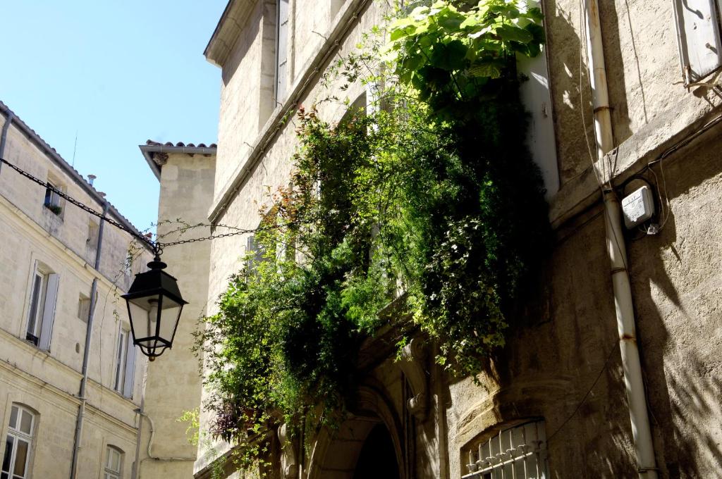B&B \ rue Germain, 34000 Montpellier