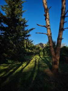 B&B Paradis Renee