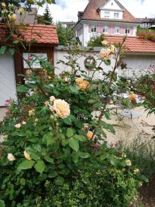 B&B / Chambre d'hôtes B&B Rosenliebe Steigstr. 6 78078 Niedereschach Bade-Wurtemberg