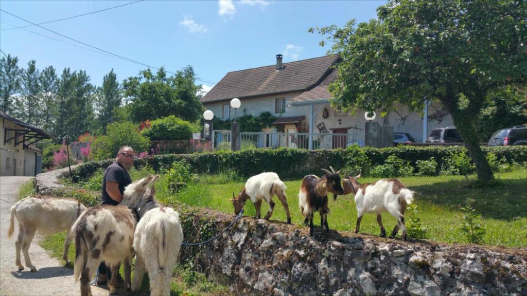 B&B / Chambre d'hôtes BASSE-COUR DE MONTIN au 256 chemin de la rocaille à 38510 VEZERONCE CURTIN 256 Chemin de la Rocaille 38510 Morestel