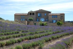 B&B / Chambre d'hôtes Bastide Saint Maurin Saint Maurin, Route Departementale 135 84240 Ansouis Provence-Alpes-Côte d\'Azur