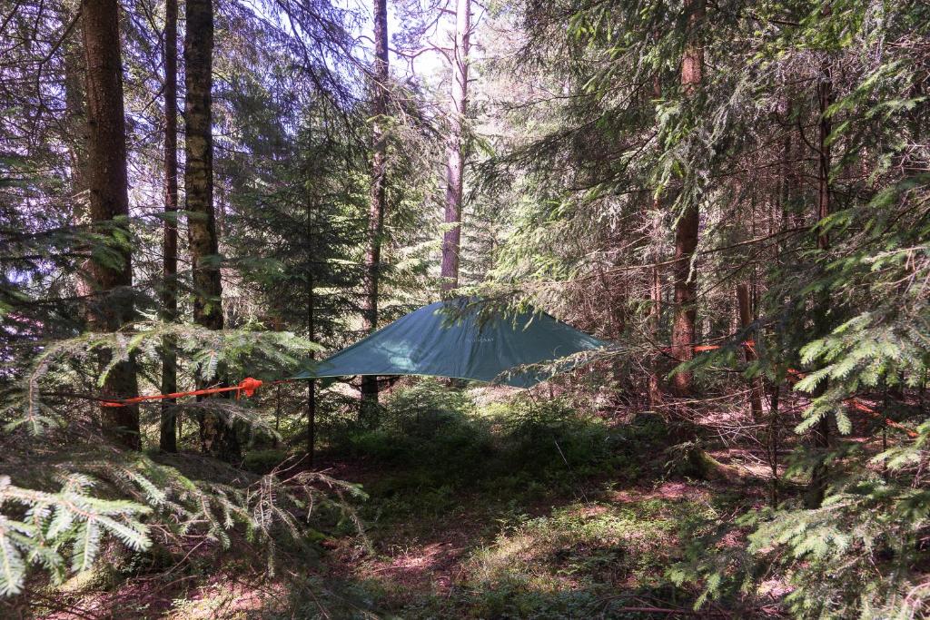 B&B / Chambre d'hôtes Baumzelt im Wald Am Grubfeld 27 94209 Regen