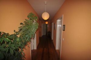 Bed And Breakfast Isidorus