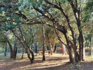 Bed & Breakfast au pays de Cézanne