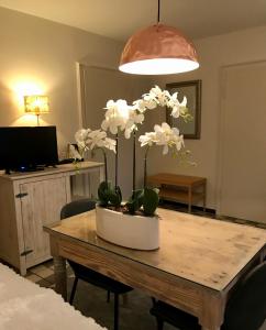 Bed & Breakfast Haus unter den Linden