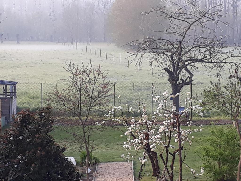 BEDLOIRE 20 Les Brevets Drain, 49530 Drain