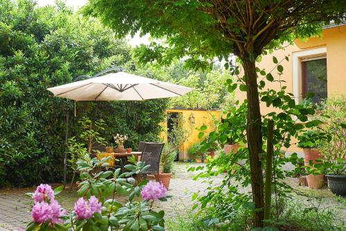 B&B / Chambre d'hôtes Biggi‘s Bed&Breakfast Am Grabentürchen 20 55237 Flonheim Rhénanie-Palatinat
