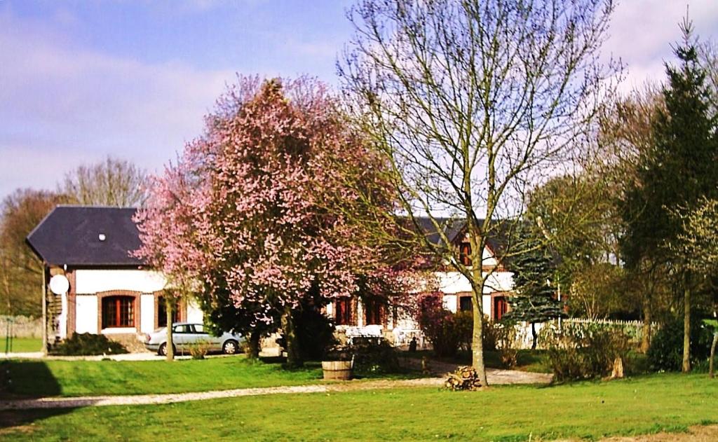 B&B / Chambre d'hôtes bnb chambres normandie 400 Route de Limerville 76540 Angerville-la-Martel