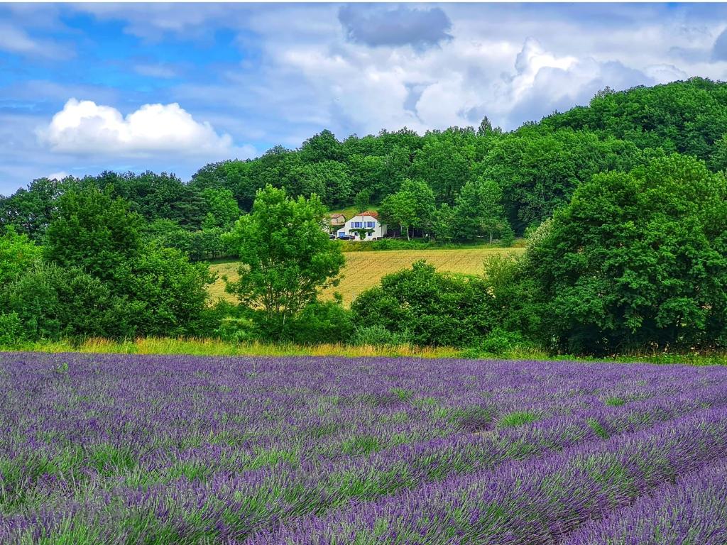 B&B / Chambre d'hôtes Bounetis Bas Chambre d'Hôtes Le Pont Fourcat 82110 Lauzerte