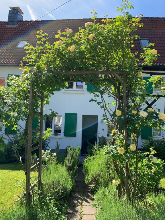 B&B / Chambre d'hôtes Buxhaus Buxhaus 6 42719 Solingen