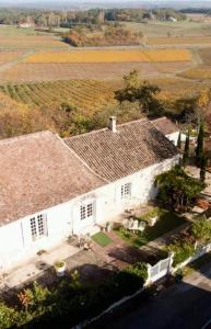 Cœur de vigne à Colombier 24560