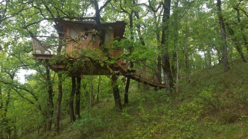 Cabane Dans Les Arbres - La Pagode