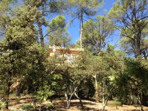 Cabane des K'Hauts Pins