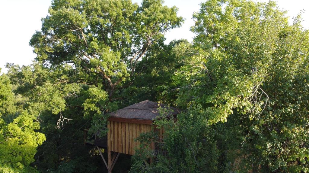 Cabane Les Vertiges de La Moure Lieu-dit La Moure, 82150 Bonaguil