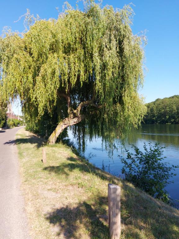 B&B / Chambre d'hôtes Calme au bord de l'eau 48b Rue Emile Tabarant 89400 Laroche-Saint-Cydroine