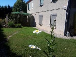 B&B / Chambre d'hôtes Camamelu Rouzadou 81120 Labastide-Dénat Midi-Pyrénées