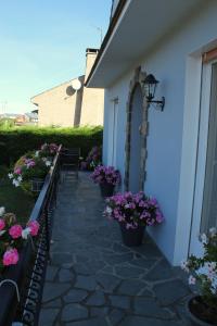 Cap Opale
