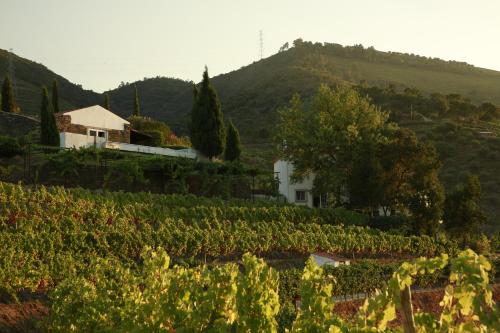 CASA da PISCINA, Quinta do Espinho, Douro Valley
