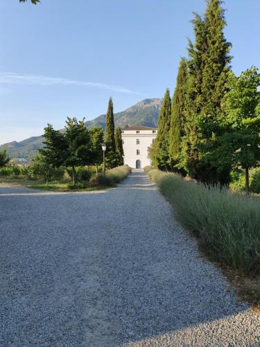 Casa Guelfucci