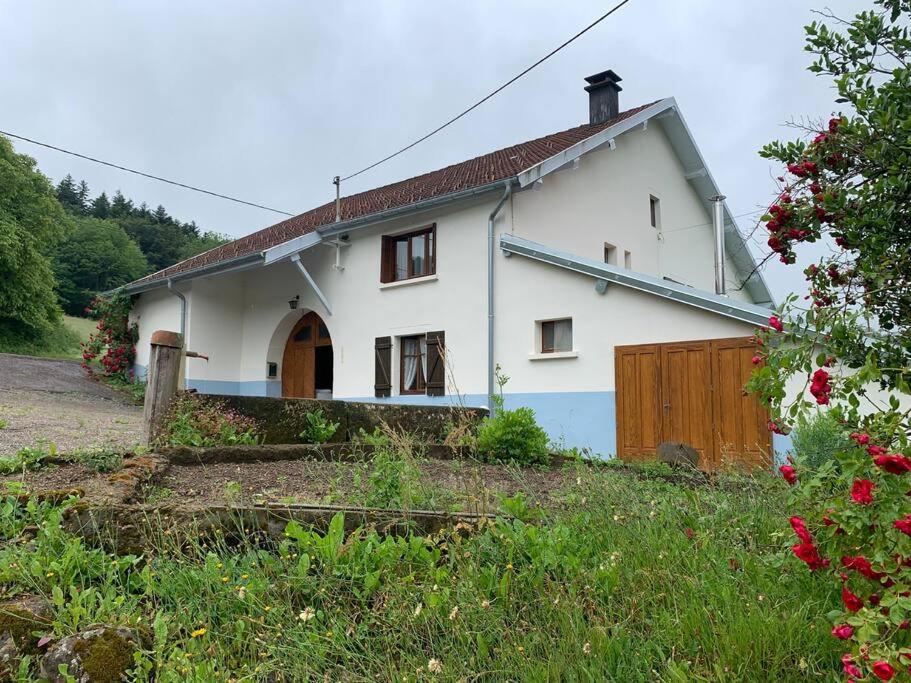 CASA IB 20167 Peri