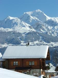 B&B / Chambre d'hôtes Chalet Le Paradou prébérard 4550, route départementale 86 73210 La Côte-dʼAime Rhône-Alpes