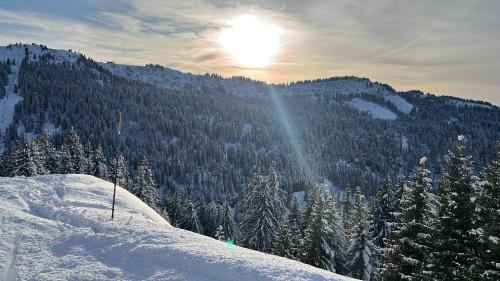 Chalet Mary