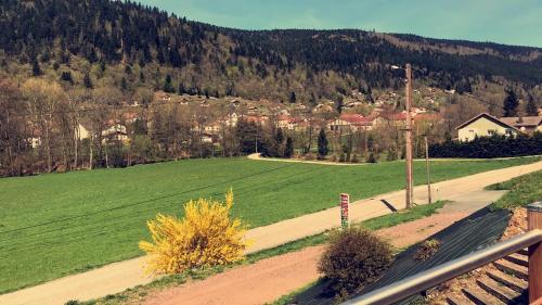 chalet vosgien