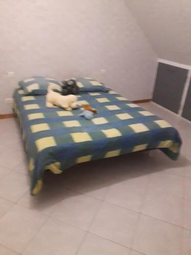 CHAMBRE 1