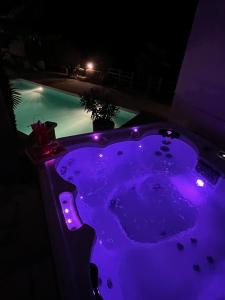Chambre au calme avec spa privatif gratuit sud aveyron les palmiers des causses