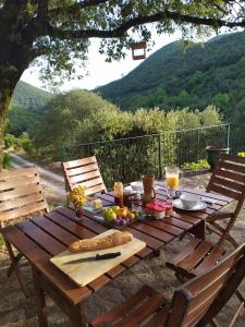 B&B / Chambre d'hôtes Chambre Cévennes: Piscine, lamas, rivière L'Ayrolle 30170 Cros Languedoc-Roussillon