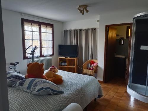 Chambre chez l'habitant