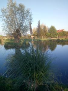 chambre coin nature