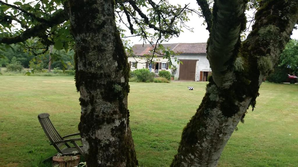 Chambre d'hôte Le Châtaignier Les Fevbres, 58230 Planchez