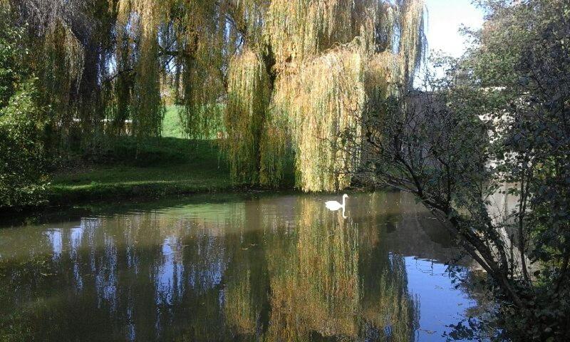 Chambre d'Hôtes du Bois Joli