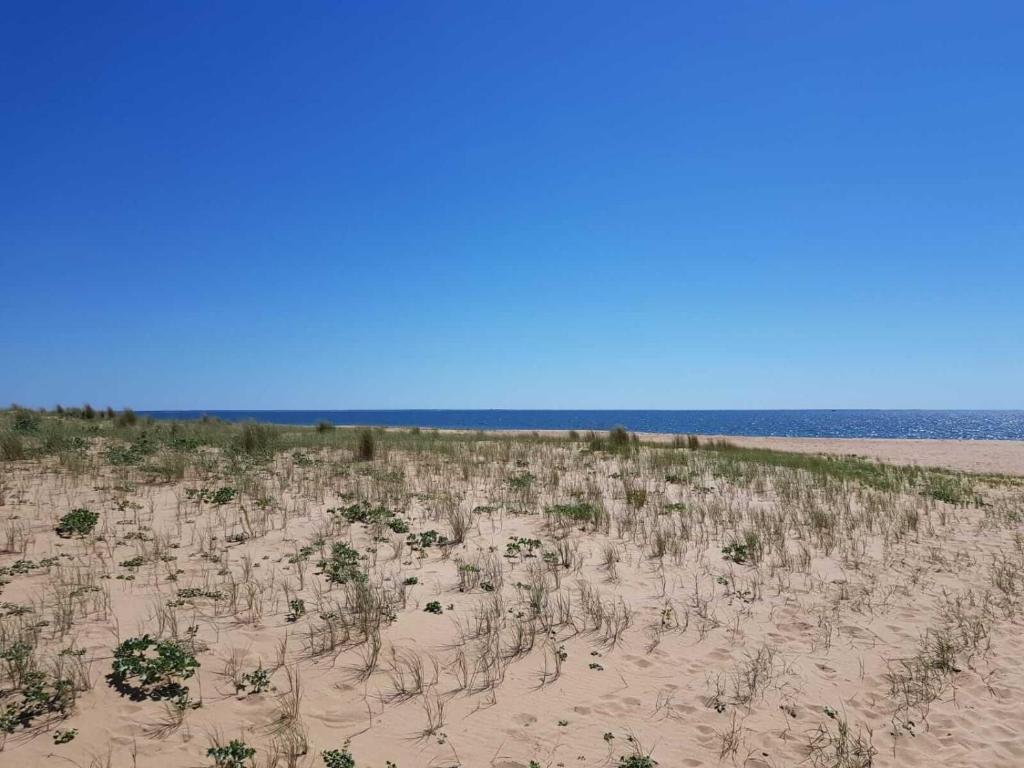 Chambre d'hôtes et Spa de la Presqu'île 13 rue des Dunes, 85460 La Faute-sur-Mer