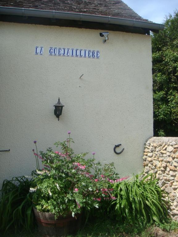 B&B / Chambre d'hôtes Chambre d'hôtes La Guéjaillière Lieu-dit La Guéjaillière 72500 Beaumont-Pied-de-Boeuf