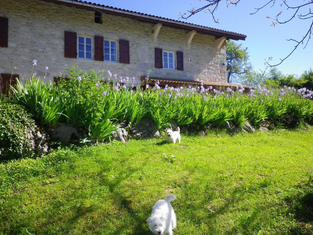 B&B / Chambre d'hôtes Chambre d'hôtes La Haie Fleurie 170 Chemin La Haie Fleurie 01430 Chevillard