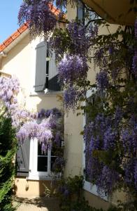 B&B / Chambre d'hôtes Chambre d'Hôtes La Villa Molina 12 Chemin Français 25000 Besançon Franche-Comté