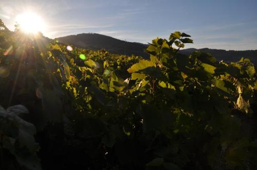 Chambre d'hôtes Les Plaisances