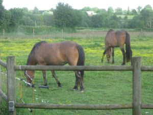 B&B / Chambre d'hôtes Chambre d'hôtes proche PUY DU FOU 2 Les Croisettes 79140 Le Pin Deux-Sèvres