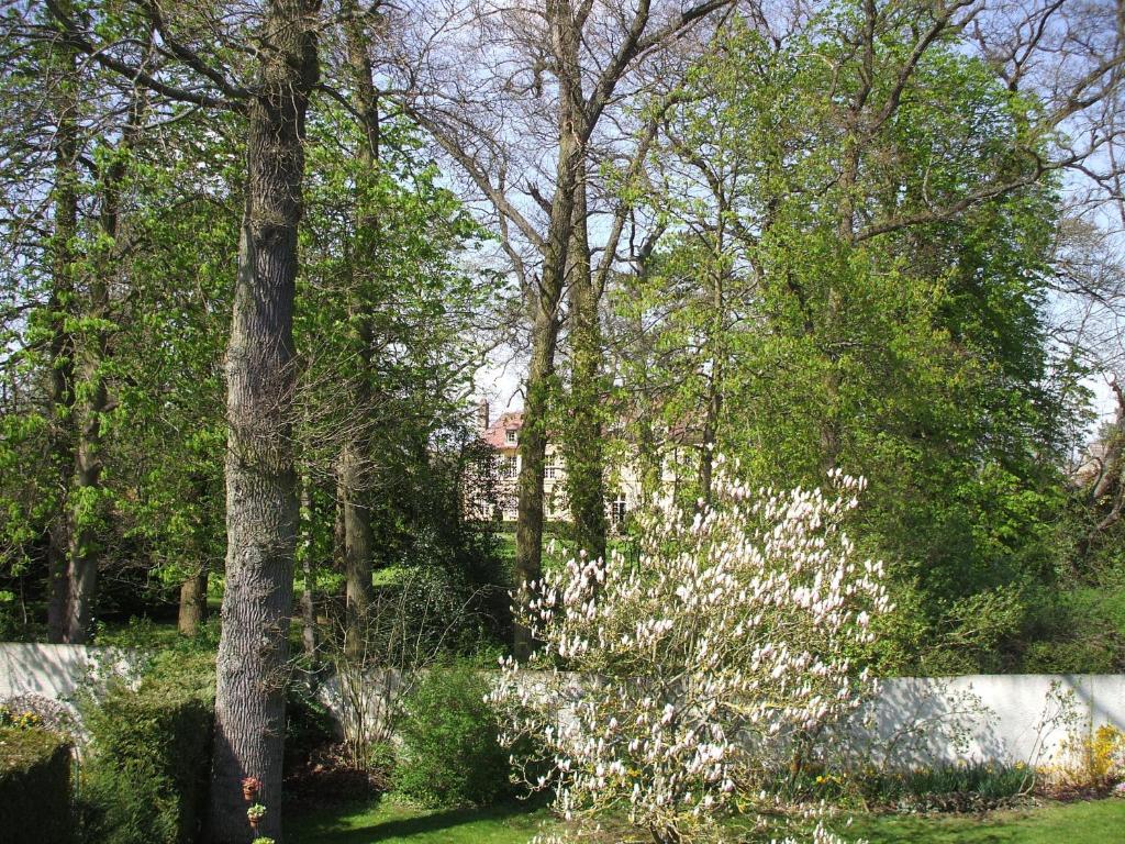 Chambre d'Hôtes Quietude en Vallée de Chevreuse Hameau de Romainville 2 allée des Chênes, 78114 Magny-les-Hameaux