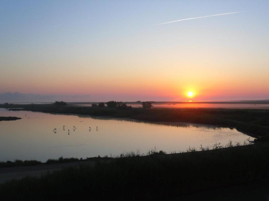 chambre les flamants 29 Rue Fanfonne Guillerme, 13460 Les Saintes-Maries-de-la-Mer