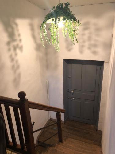 Chambre Nature