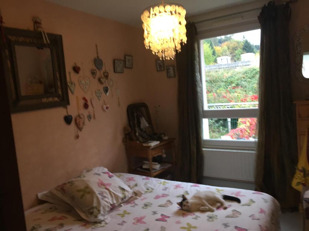 B&B / Chambre d'hôtes Chambre privée 16 D rue de la Foret Epinal 88000 88000 Épinal