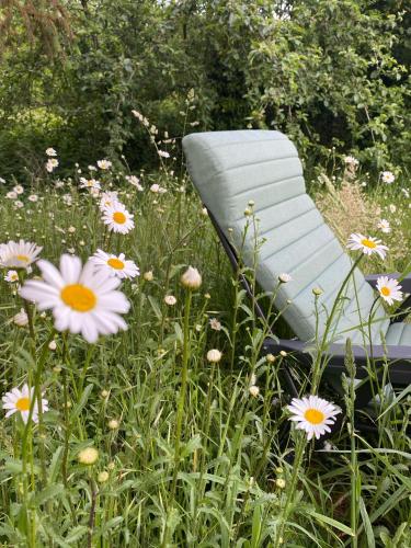 Chambre privée sur un domaine de 10 hectares