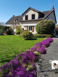 B&B / Chambre d'hôtes Chambres D'hôtes Anne-Marie D975 Bigorne 36700 Châtillon-sur-Indre Région Centre