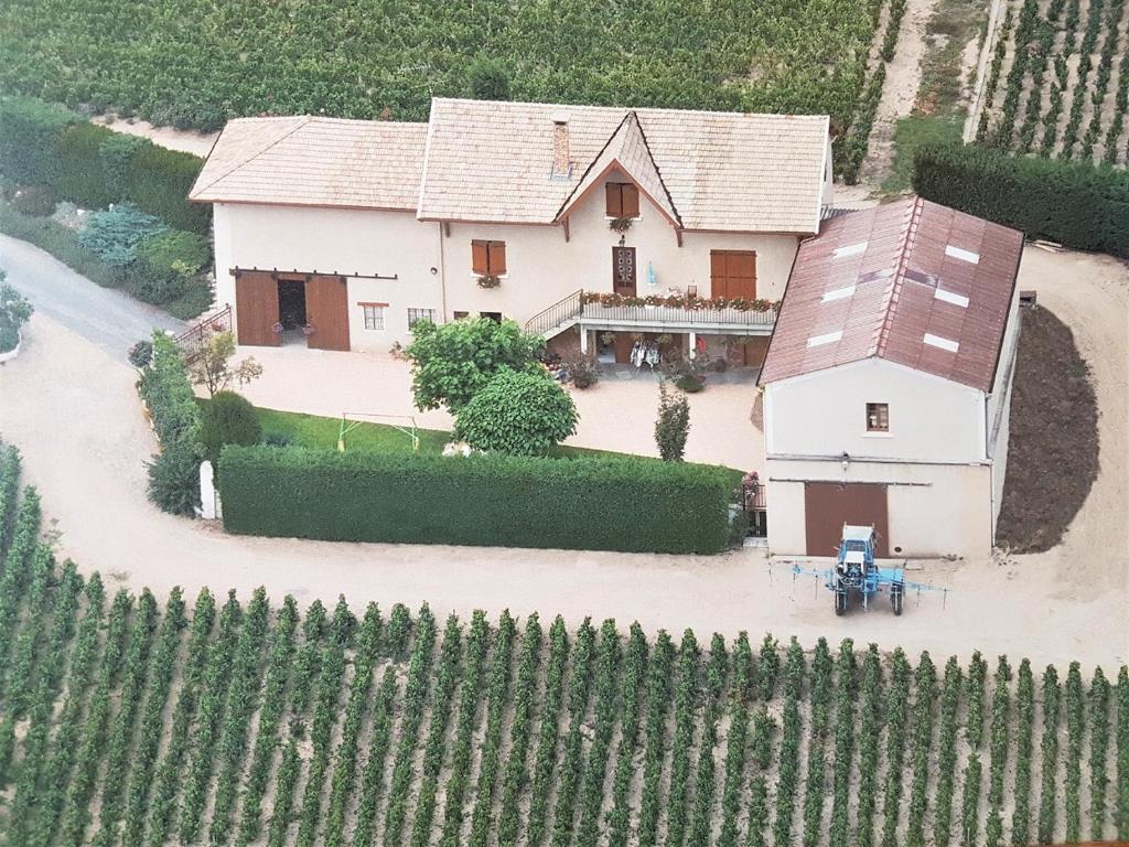 Chambres d hôtes au Domaine de Robert Côte de Champagne, 69820 Fleurie