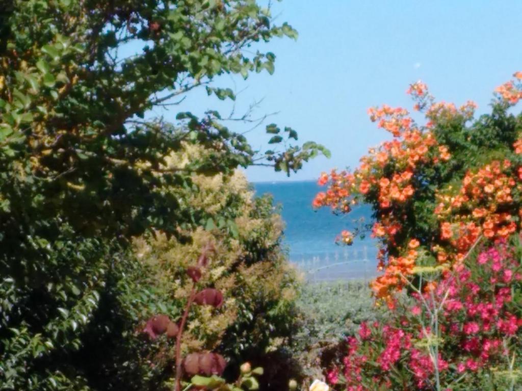 Chambres d'hôtes chez l'habitant - Bed&Breakfast Homestay 50170 Huisnes-sur-Mer