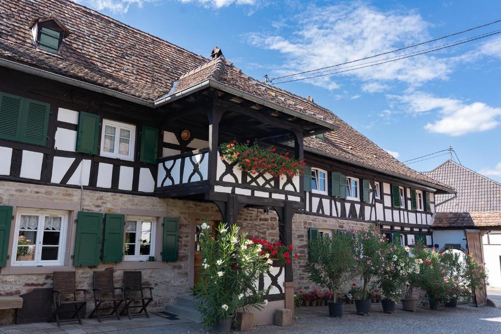 B&B / Chambre d'hôtes Chambres d'hôtes de charme à la ferme Freysz 20 Rue Principale 67117 Quatzenheim