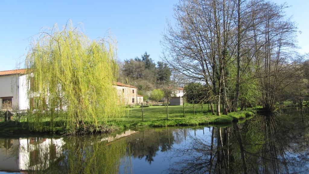 B&B / Chambre d'hôtes Chambres d'hôtes de La Templerie-Moulin 95-97 La templerie-Moulin 85130 Bazoges-en-Paillers